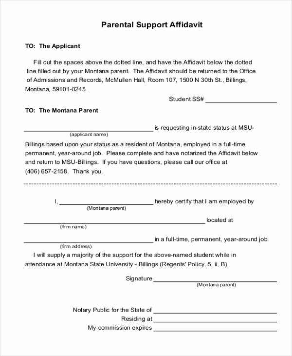 Affidavit Of Support Template Awesome 9 Affidavit Of Support form Examples Pdf
