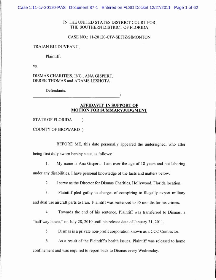 Affidavit Of Support Template Lovely Affidavit In Support Of Motion for Summary Judgment
