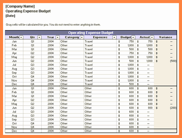 Annual Operating Budget Template Best Of 11 Pany Annual Bud Template