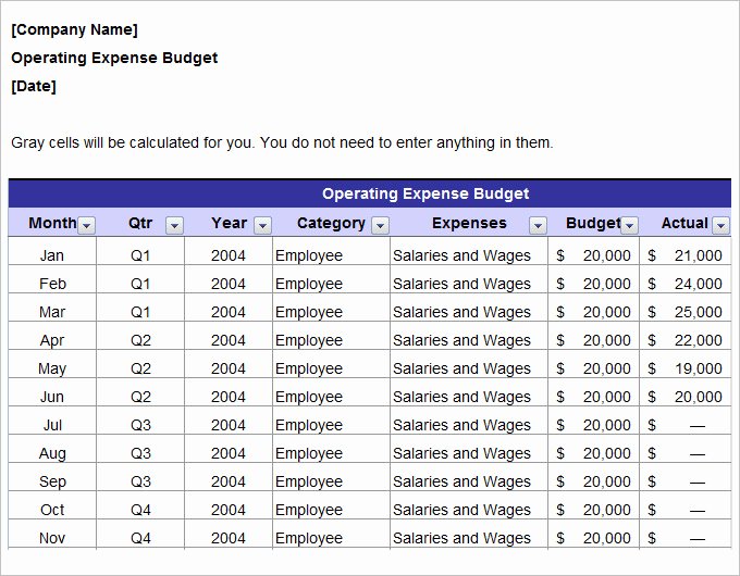 Annual Operating Budget Template New Marketing Bud Template 30 Free Word Excel Pdf