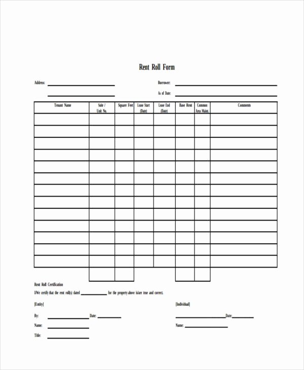 Apartment Rent Roll Template Inspirational 17 Rent Roll form Templates