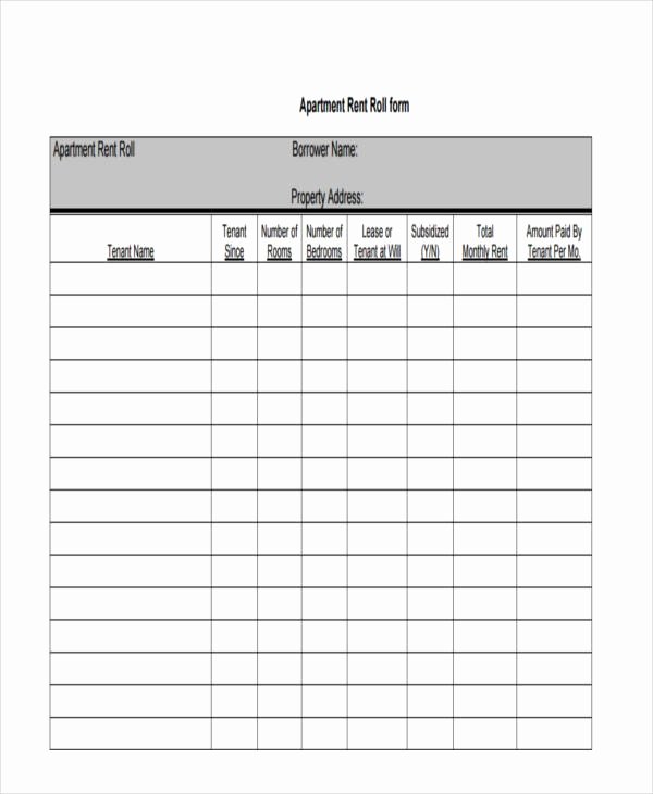 Apartment Rent Roll Template Lovely 17 Rent Roll form Templates