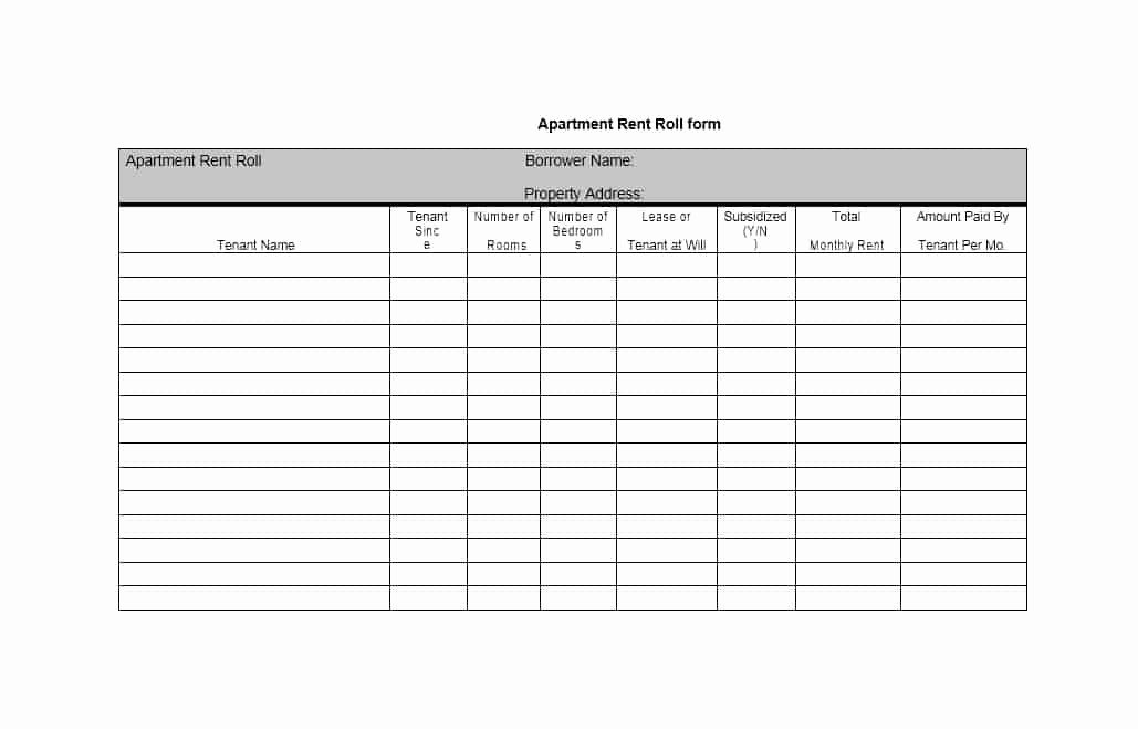 Apartment Rent Roll Template Lovely 47 Rent Roll Templates &amp; forms Template Archive