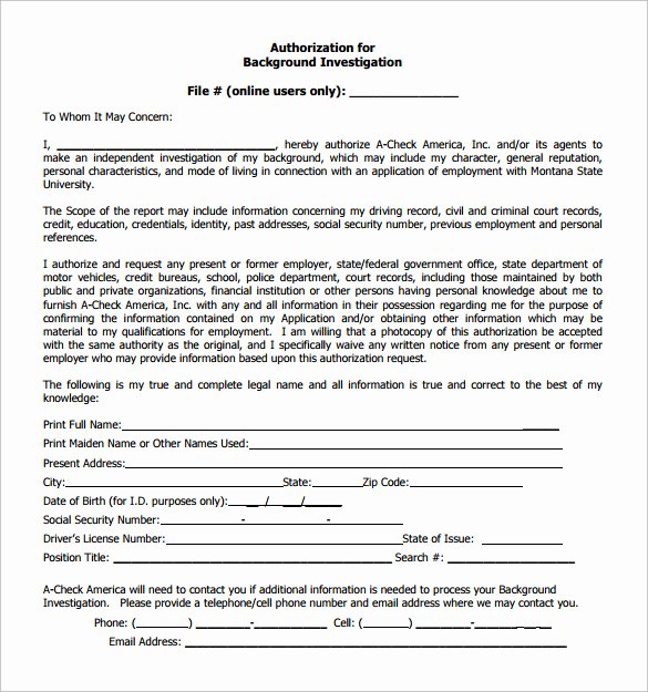 Background Check form Template Free New Background Check form 7 Download Free Documents In Pdf