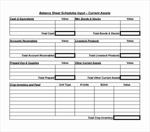 Balance Sheet Template Word Best Of Sample Balance Sheet 20 Documents In Word Pdf Excel