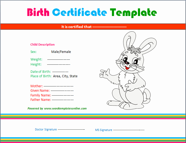 Birth Certificate Template Word Beautiful Birth Certificate Template Microsoft Word Templates