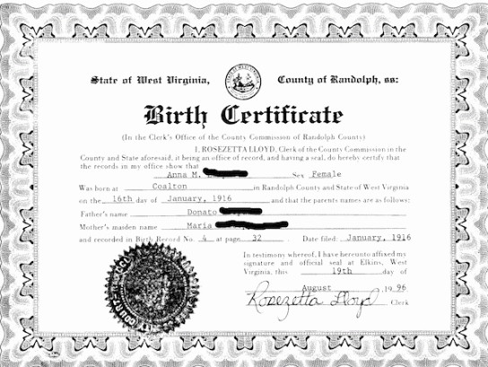 Birth Certificate Template Word Elegant 21 Free Birth Certificate Template Word Excel formats