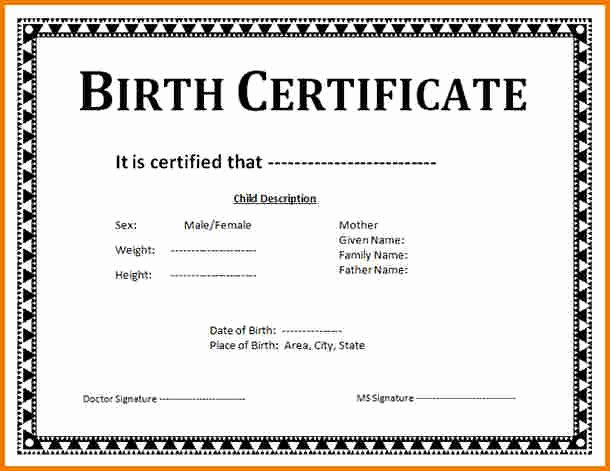 Birth Certificate Template Word Lovely Birth Certificate Template Word