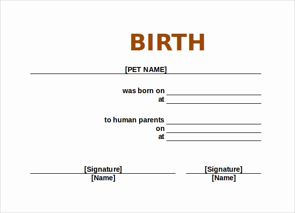 Birth Certificate Template Word Lovely Sample Birth Certificate 22 Documents In Word Pdf