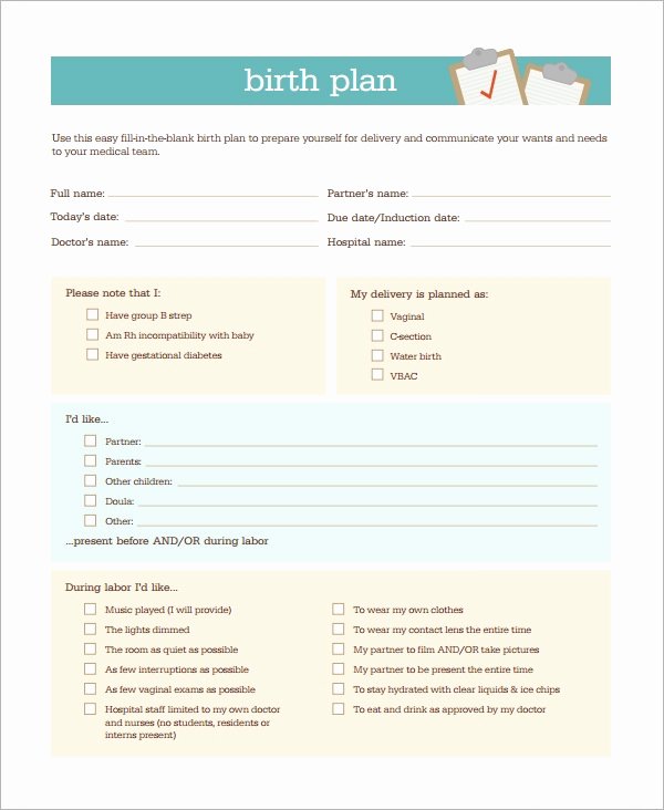 Birth Plan Template Word Document Best Of Birth Plan Template 20 Download Free Documents In Pdf Word