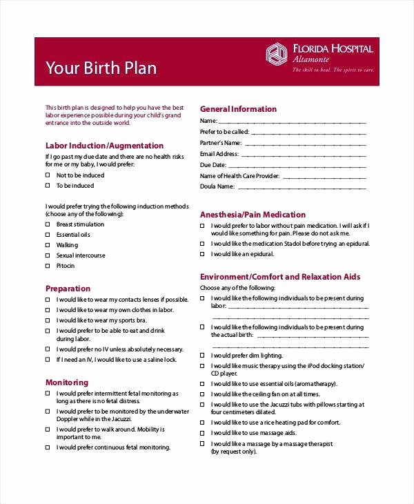 Birth Plan Template Word Document Inspirational Birth Plan Template Pdf Pics – Birth Plan Template