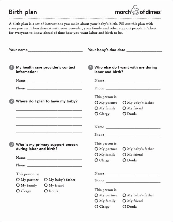 Birth Plan Template Word Document Lovely Free 23 Sample Birth Plan Templates In Pdf Word