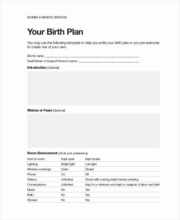 Birth Plan Template Word Document Luxury Birth Plan Template 11 Free Word Pdf Documents