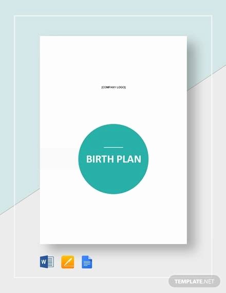 Birth Plan Template Word Document Luxury Free 23 Sample Birth Plan Templates In Pdf Word