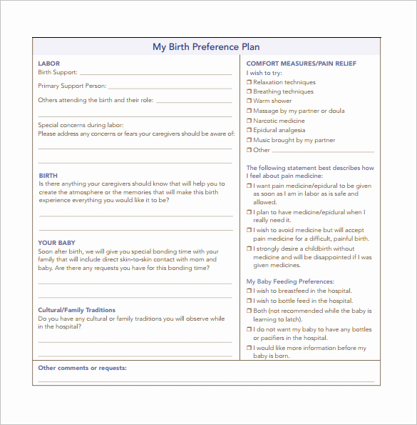 Birth Plan Template Word Document New Birth Plan Template 10 Free Pdf Word Documents