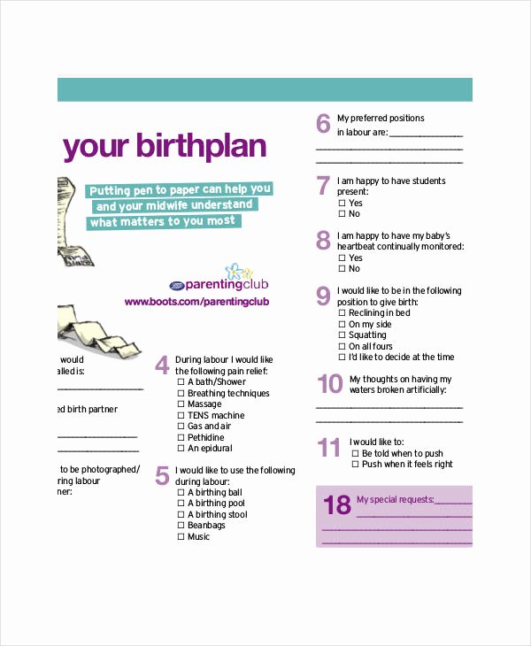 Birth Plan Template Word Document New Birth Plan Template 17 Free Word Pdf Documents