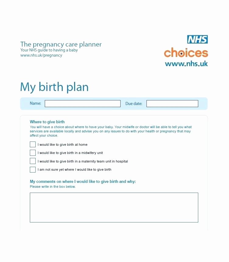 Birth Plan Template Word Document New Europahaber