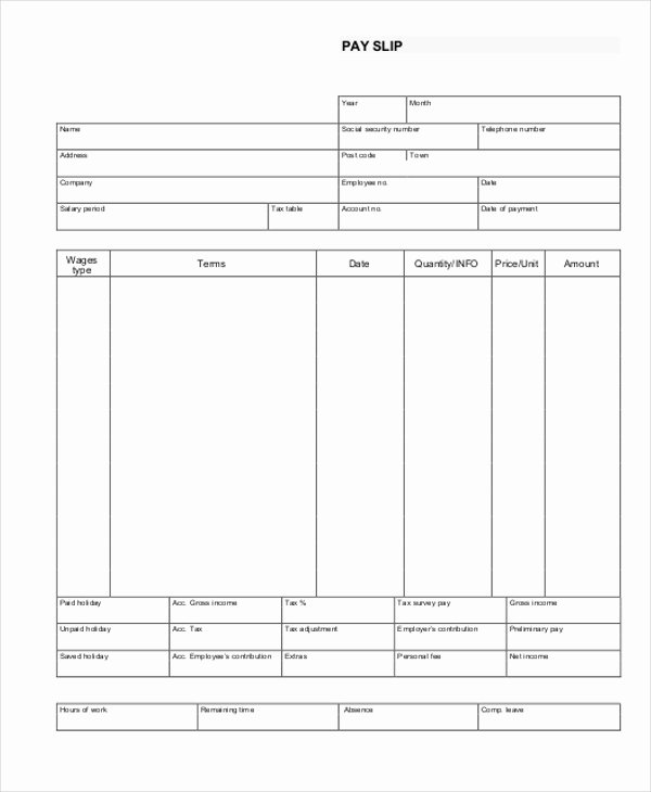 Blank Pay Stub Template Best Of Paycheck Stub Template