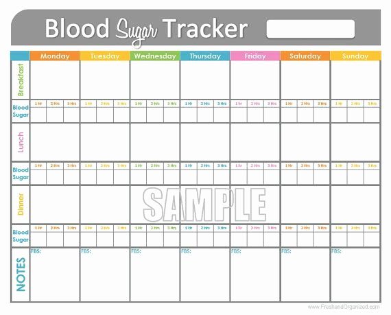 Blood Sugar Log Template Awesome Blood Sugar Log Template In Pdf format Excel Template