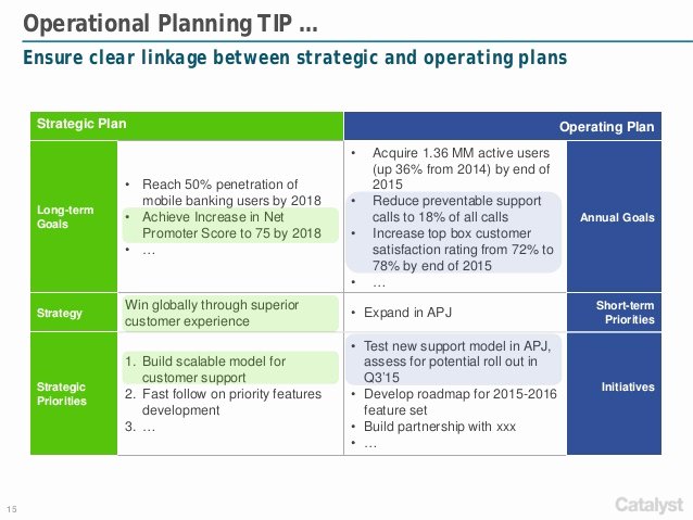 Business Operational Plan Template Lovely Catalyst Strategies Annual Operational Planning Framework
