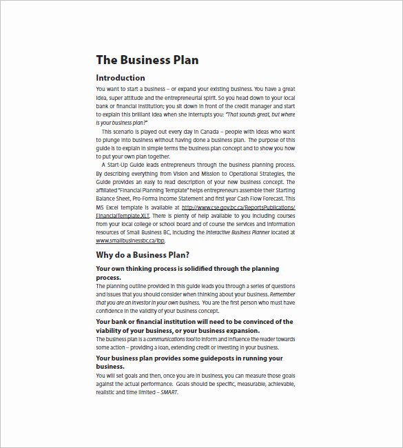 Business Proposal Template Pdf Elegant Startup Business Plan Template 21 Word Excel Pdf
