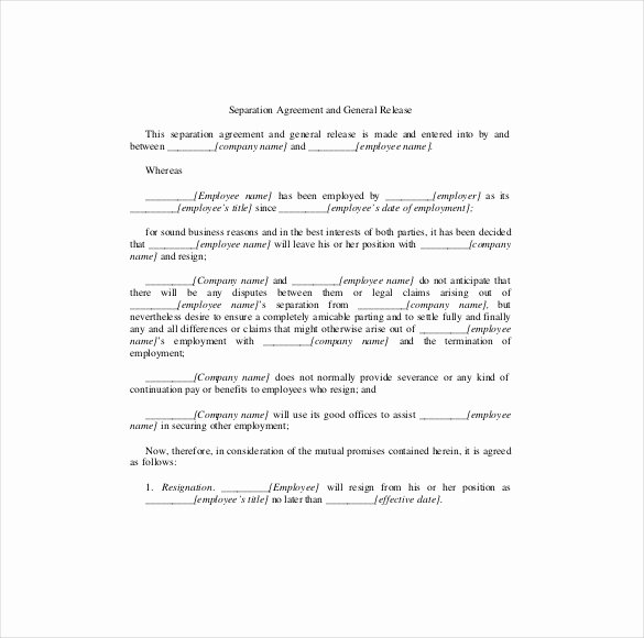 Business Separation Agreement Template New Separation Agreement Template – 14 Free Word Pdf