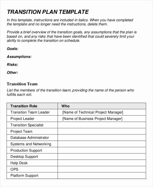 Business Transition Plan Template Unique Job Plan Templates 10 Free Samples Examples format