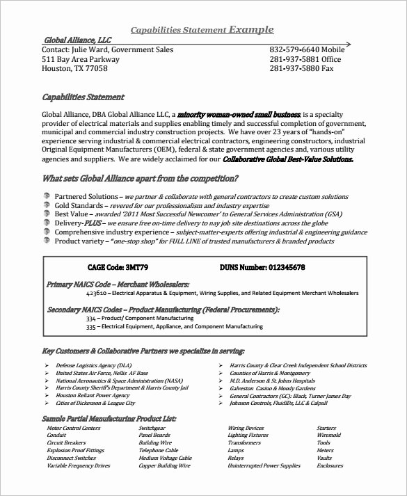 Capability Statement Template Doc Lovely 14 Capability Statement Templates Pdf Word Pages