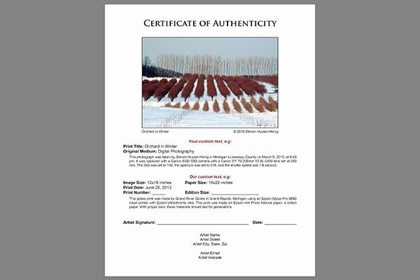 Certificate Of Authenticity Template Free Elegant Certificate Of Authenticity Templates