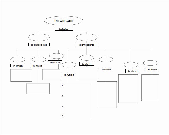 Concept Map Template Nursing Unique Sample Concept Map Template 10 Free Documents In Pdf Word