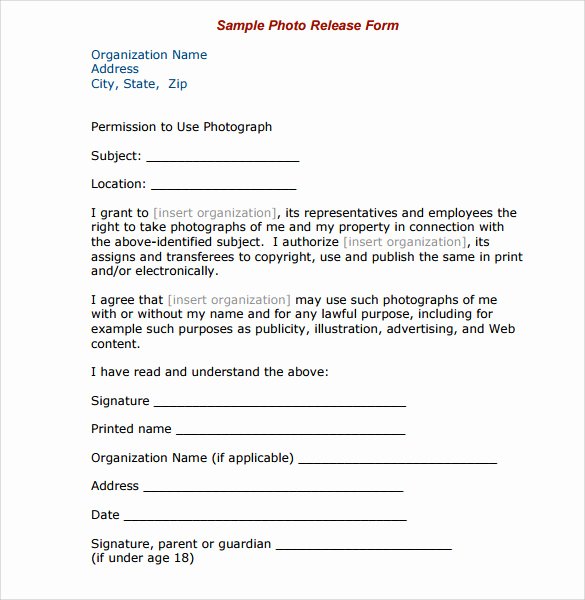 Copyright Release form Template Fresh 7 Print Release forms Pdf