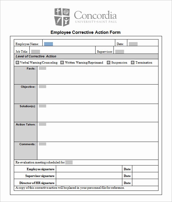 Corrective Action form Template Inspirational Corrective Action Plan Template 22 Free Word Excel