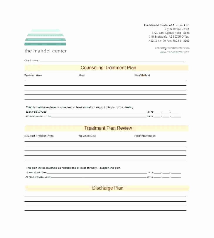 Counseling Treatment Plan Template Awesome Chiropractic Treatment Plan Template