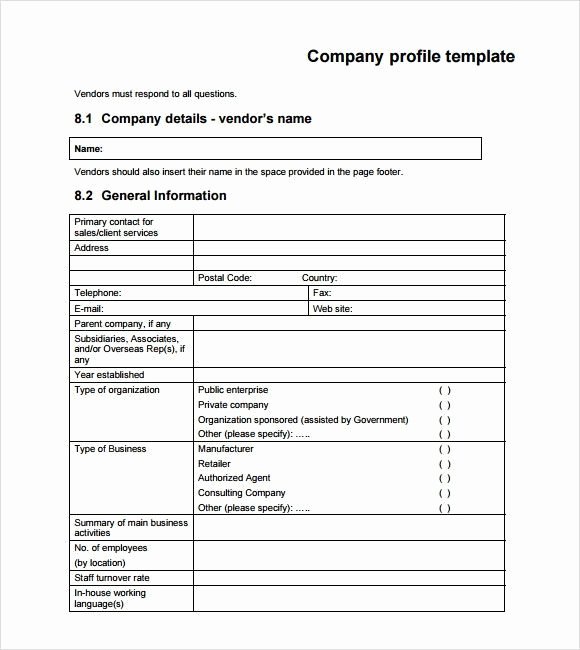 Customer Profile Template Word Best Of Customer Profile Template Word