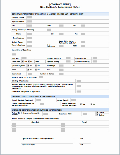 Customer Profile Template Word Elegant Customer Information Sheet Template