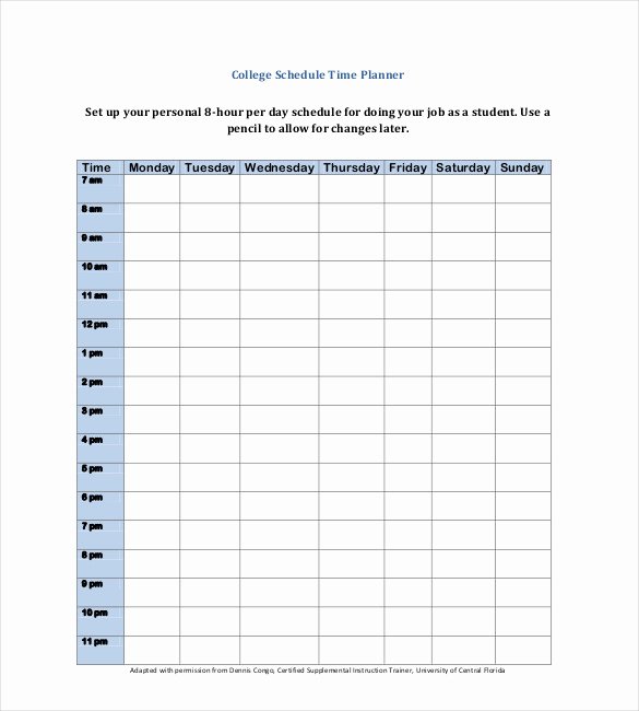 Daily Schedule Template Pdf Elegant 31 Daily Planner Templates Pdf Doc