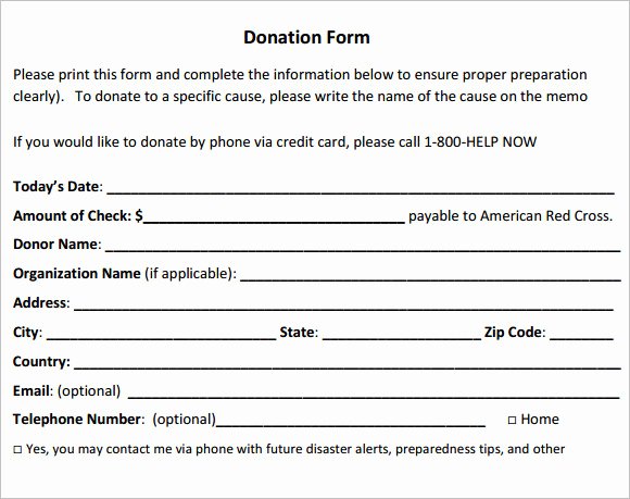 Donation form Template Pdf Inspirational Sample Donation Sheet 9 Documents In Pdf Word