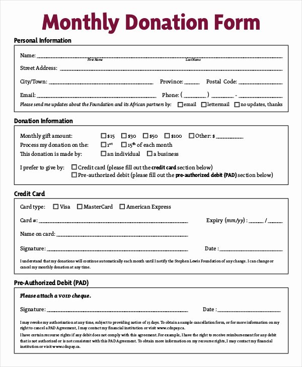 Donation form Template Pdf Lovely Charitable Donation form Template