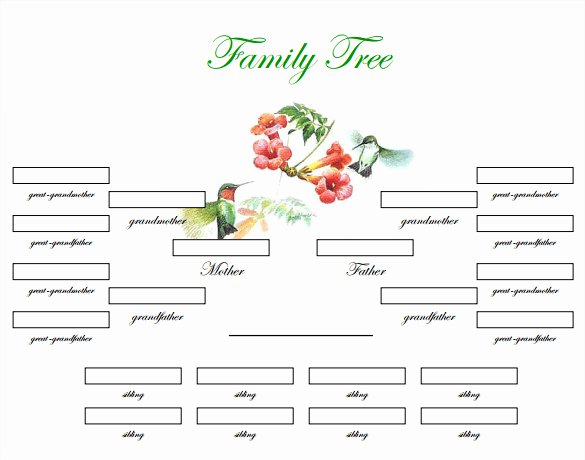 Editable Family Tree Template New 29 Of Blank Family Tree Template Microsoft Word