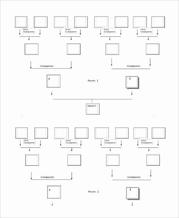 Editable Family Tree Templates Unique Sample Blank Family Tree Template 8 Free Documents