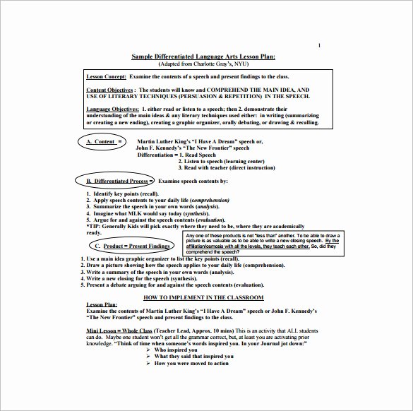 Elementary Art Lesson Plan Template Unique Collection Differentiated Lessons Examples Elementary