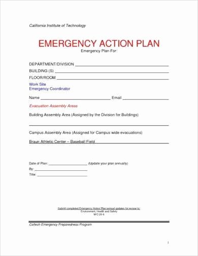 Emergency Action Plan Template Elegant 11 Printable Emergency Action Plan Examples Pdf Docs