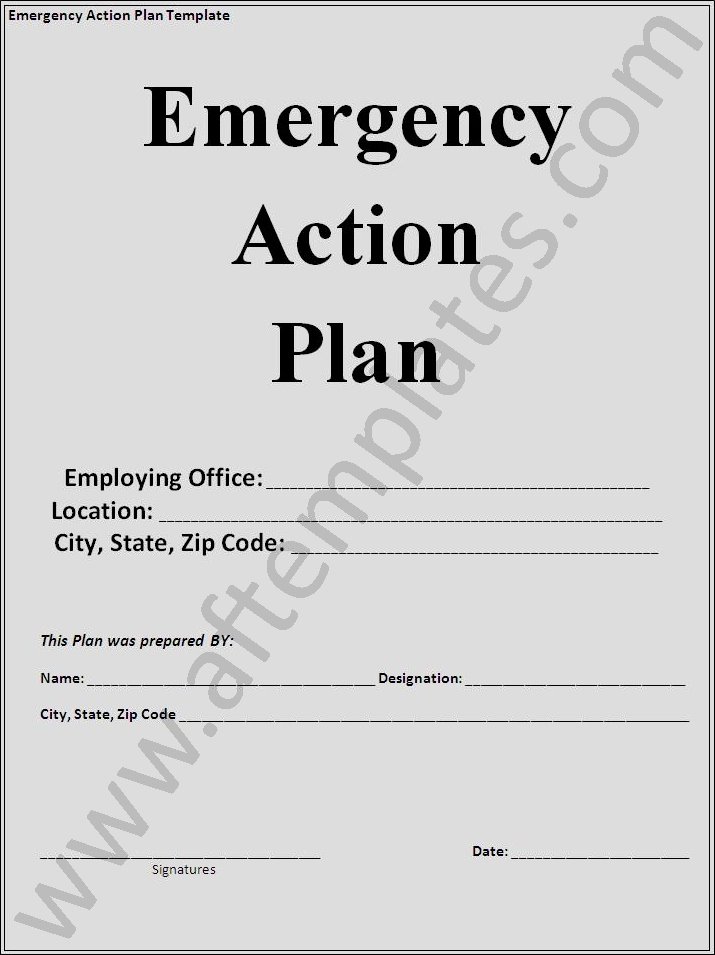 Emergency Action Plan Template Inspirational Action Plan Template