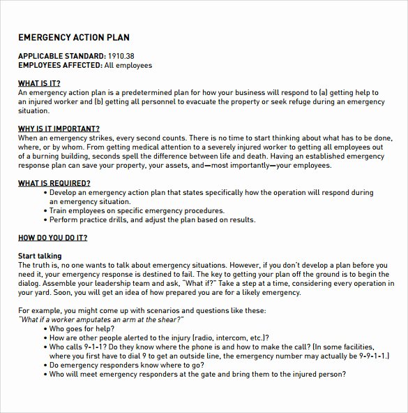 Emergency Action Plan Template Lovely Sample Employee Action Plan 12 Documents In Pdf