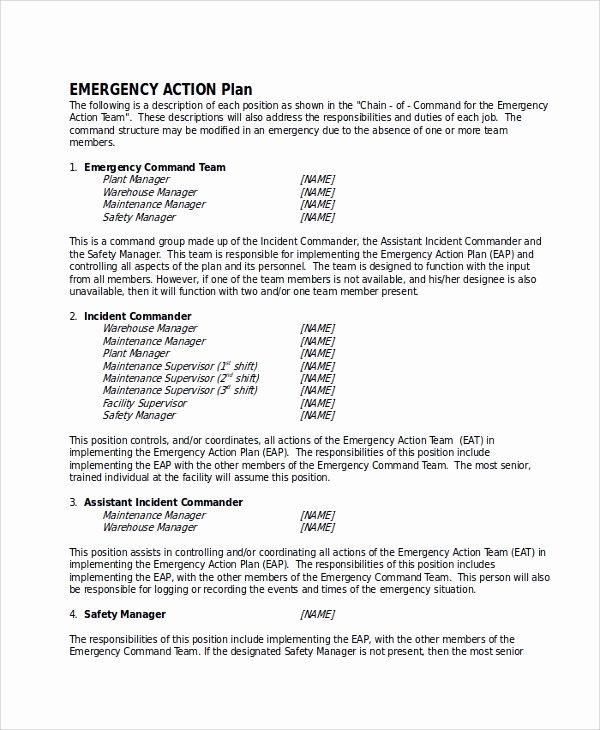 Emergency Action Plan Template Lovely Sample Plan 43 Examples In Word Pdf