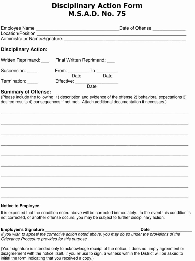 Employee Write Up Template Luxury 23 Employee Write Up form Free Download [word Pdf]
