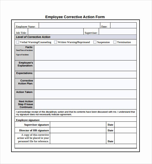 Employment Action Plan Template Best Of Sample Corrective Action Plan Template 14 Documents In