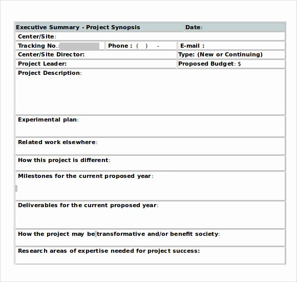 Executive Summary Template Word Fresh Sample Executive Summary Template 8 Documents In Pdf