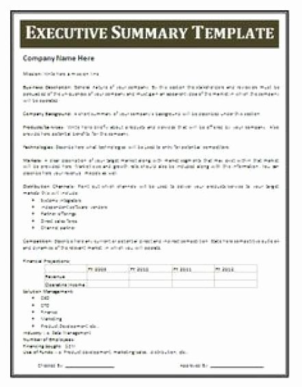 Executive Summary Template Word Lovely 13 Executive Summary Templates Excel Pdf formats