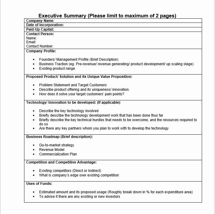 Executive Summary Template Word Lovely 29 Free Executive Summary Templates Word Templates